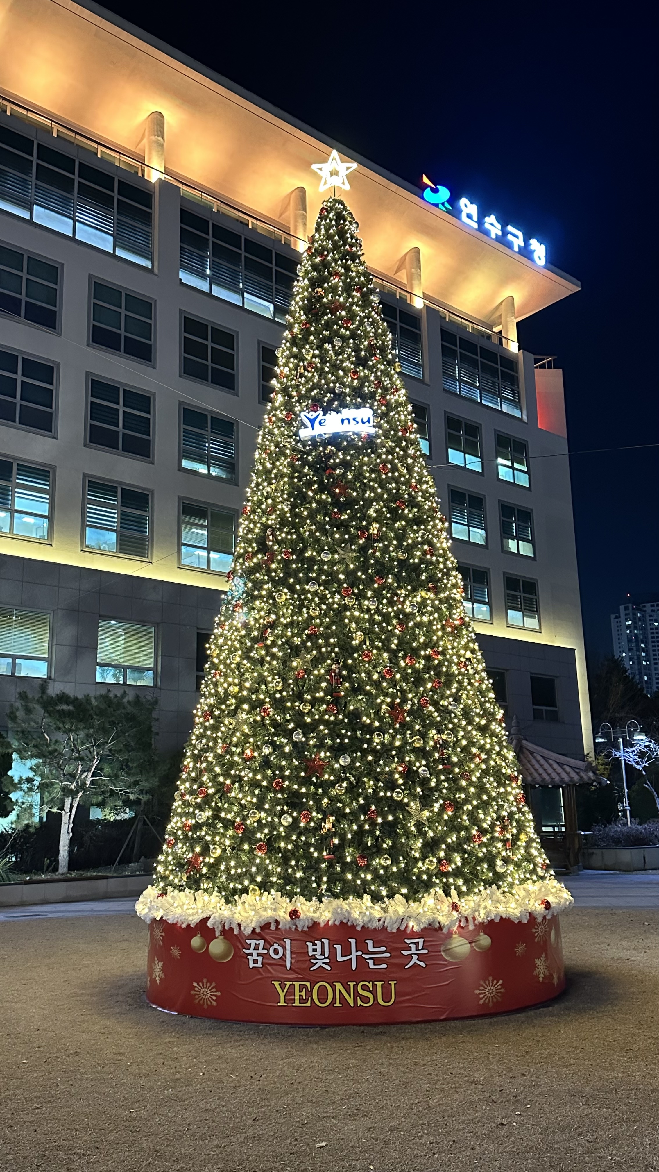 연수구가 주최하고 연수문화재단이 주관하는 2025 크리스마스트리 문화축제가 내년 1월 22일까지 구청 1층 송죽원과 한마음광장 연수구 제2청사에서 열린다